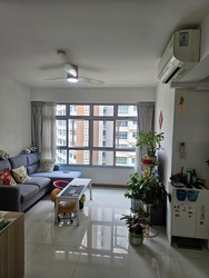 Blk 356B Anchorvale Plains (Sengkang), HDB 4 Rooms #628917791